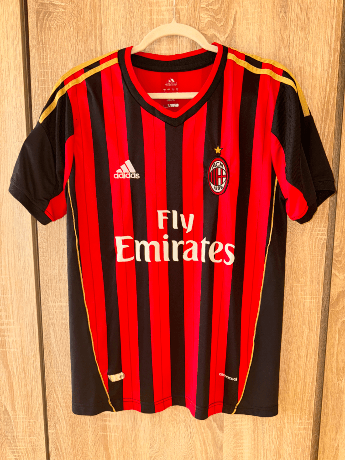 AC Milan - 2013-2014