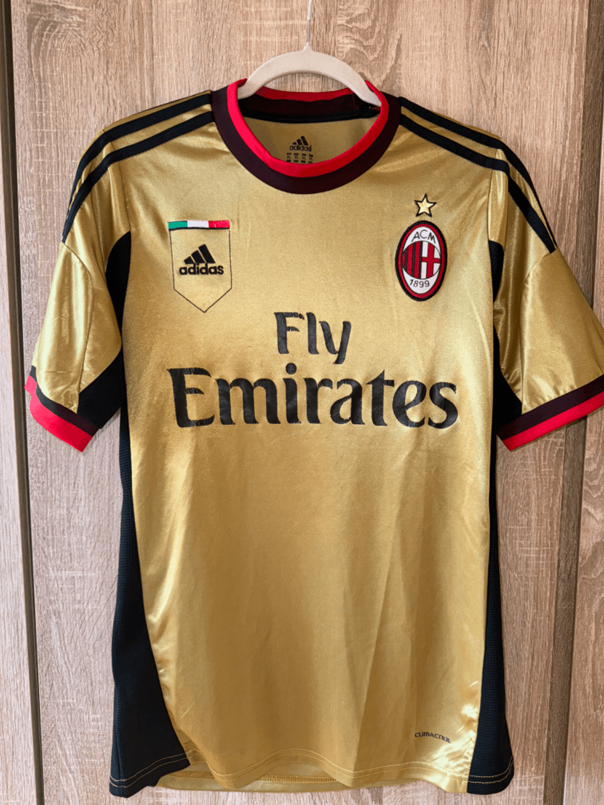 AC Milan - 2013-2014